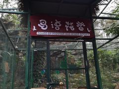 -呀诺达热带雨林