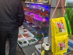 -曲阳花鸟市场(曲阳路店)