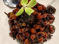 -肆月河豚·新淮扬(金融街店)
