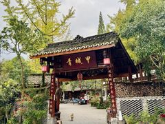 -青城甲(青城山店)