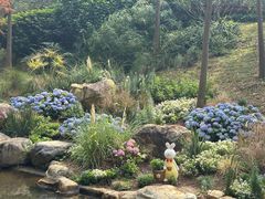 -云溪植物园