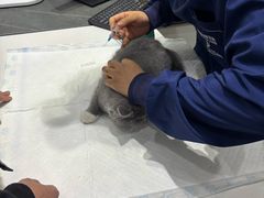 -派特宠物医院(圆融广场店)