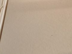 -大鸭梨烤鸭(顺义石园店)