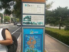 -海滨浴场
