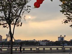 -洲头咀公园