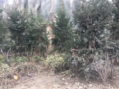 -上海海昌海洋公园-停车场