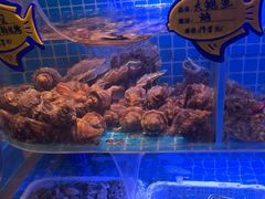 -街角等你.大连海鲜烧烤.经典铁板海鲜串(西安路店)