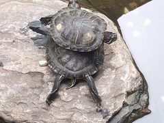 -嘉缤苑