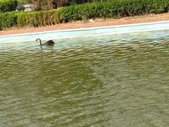 -蓬莱欧乐堡梦幻世界