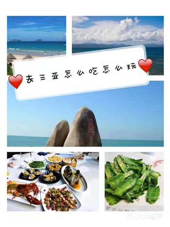 在这里给大家整理一个海旅的攻略 海旅的提货点：