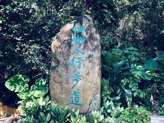 -深圳仙湖植物园-停车场