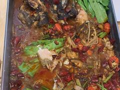 -鱼酷活鱼烤鱼(沈阳大悦城店)