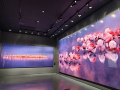 -罗红摄影艺术馆