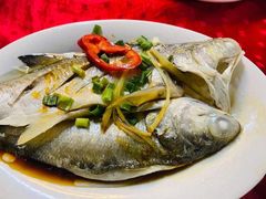 清蒸/红烧马友鱼-蛇口康乐快餐鱼仔档(翠苑小区店)