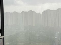 -小杨生煎(周浦万达店)