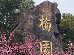 -无锡梅园公园
