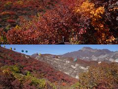 -周口店坡峰岭风景区