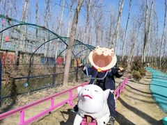 -合肥滨湖国家森林公园