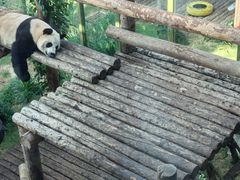 -大连森林动物园