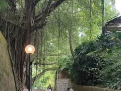 -九龙公园