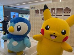 -凯德MALL(望京店)