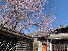 -三里河公园