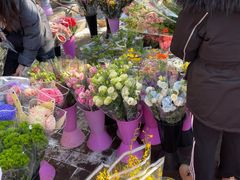 -宝鸡东道花鸟鱼虫市场(吉利花园商场店)