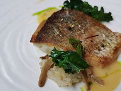 香煎海鲷鱼-福楼法餐厅FLO