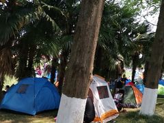 -黄海国家森林公园