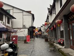 -后柳水乡