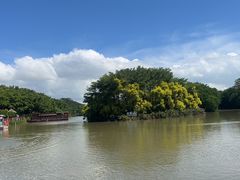 -大湾区中央湿地公园