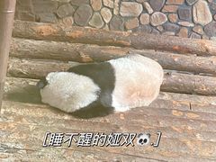 -济南野生动物世界