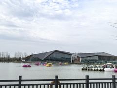 -上海长兴岛郊野公园