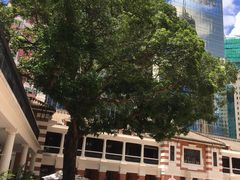 -大馆(前中区警署建築群)