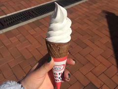 -富豪雪糕车流动点(尖沙咀店)