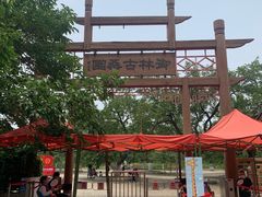 -御林古桑园