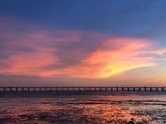 -宝安西湾红树林湿地公园