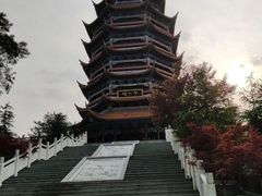 -铁山坪森林公园