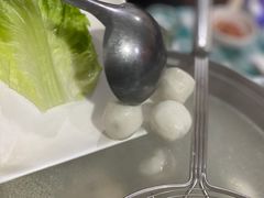 鱼丸-中山脆肉鲩(新圳东路店)