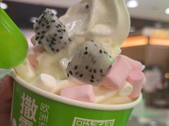 -Salud撒露欧洲冻酸奶(五道口购物中心店)