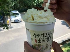 -茶颜悦色(岳麓山顶店)