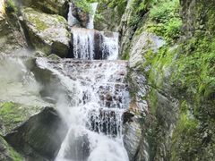 -牛背梁国家森林公园