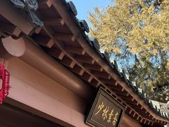 -少林寺欢喜地素斋馆