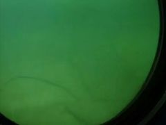 -白鹤梁水下博物馆