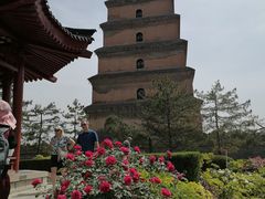 -大慈恩寺(大雁塔)