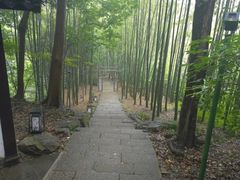 -杭州黄龙洞