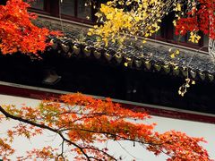 -西园戒幢律寺