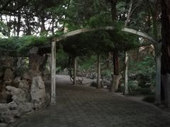 -叶家花园