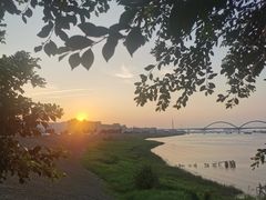 -八仔大富楼·河鲜(西江店)