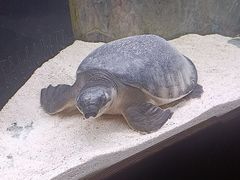 -海合安天津极地海洋公园